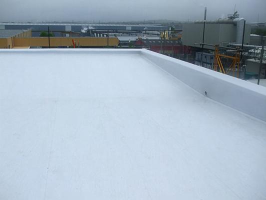 Single Ply Roof Systems