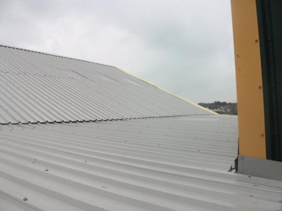 Sheeting - Strip and Re-sheet